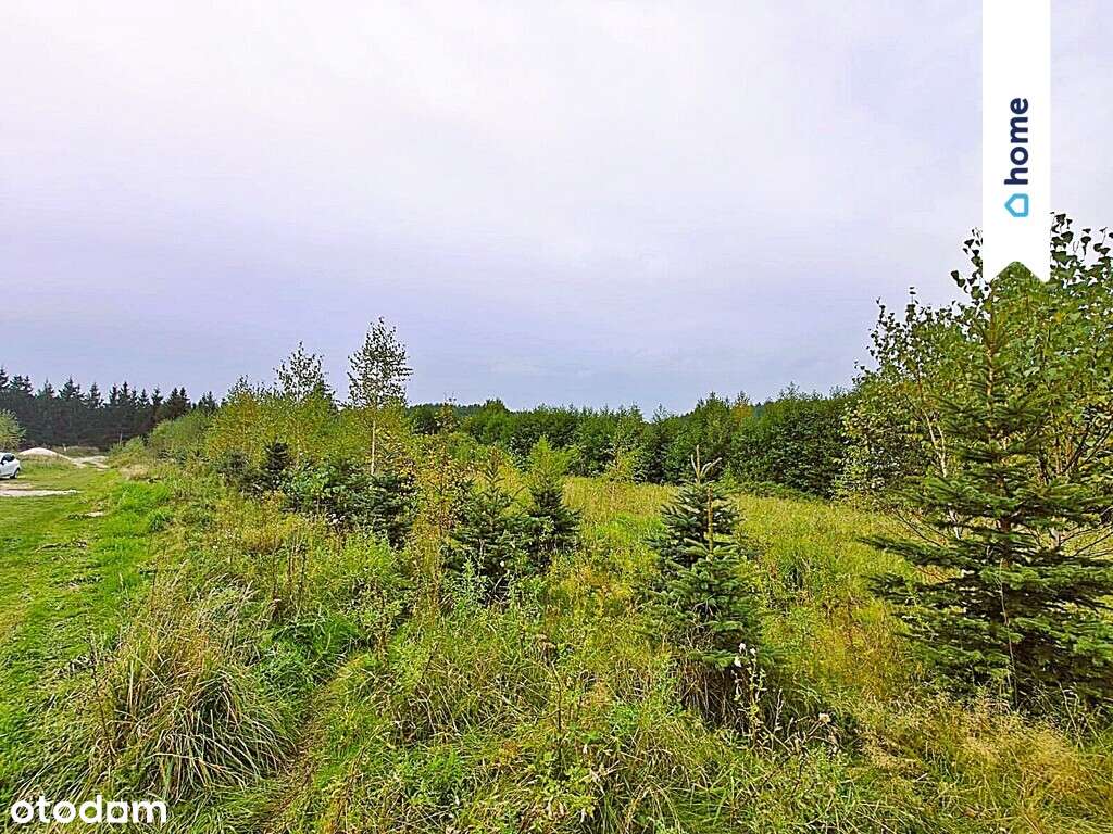 Działki z warunkami zabudoww Marcinkowie gm. Purda - Pełny obrazek: 2/4