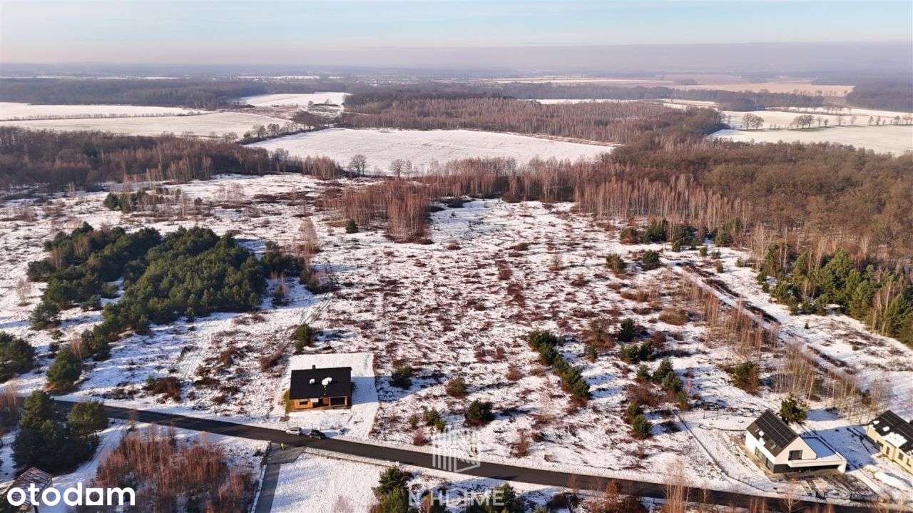 Działka z Wz | pod lasem | 10 km od Wrocławia - Pełny obrazek: 4/8