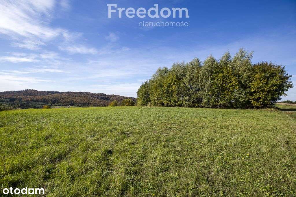 Działka 44 ary przy lesie w Grabówce - Pełny obrazek: 3/15