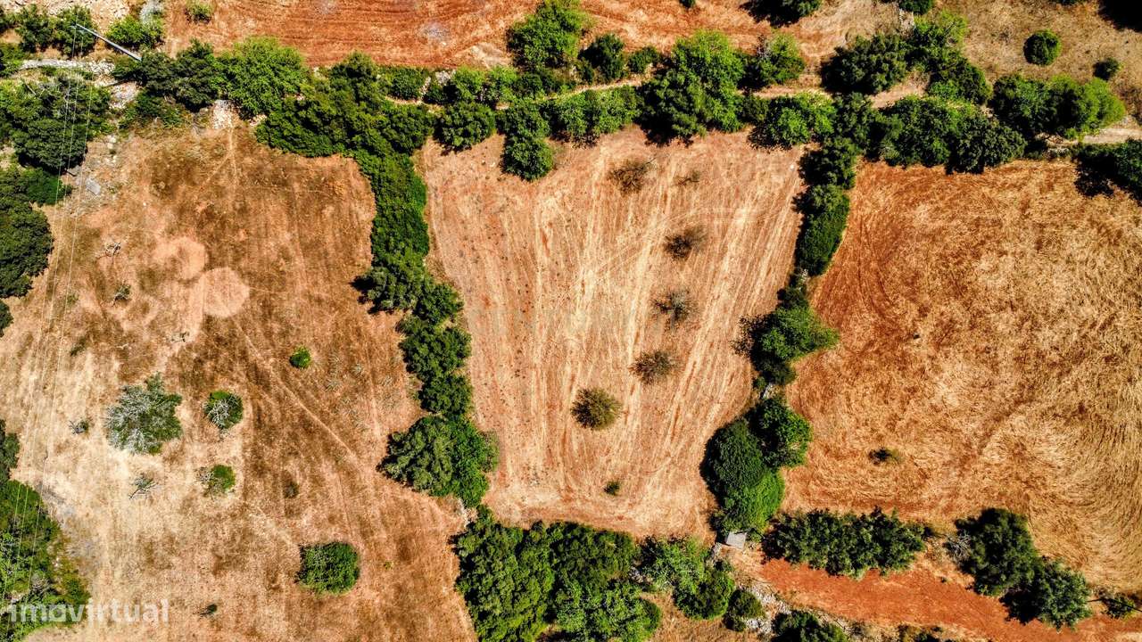 Tranquilidade na natureza - Terreno Rústico para Venda - Grande imagem: 3/36
