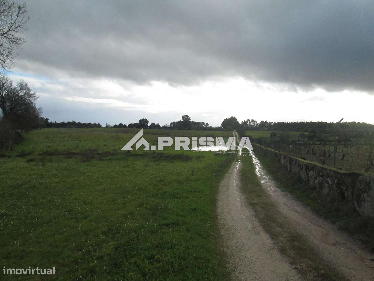 Terreno Rústico à Venda na Lardosa - Grande imagem: 2/38