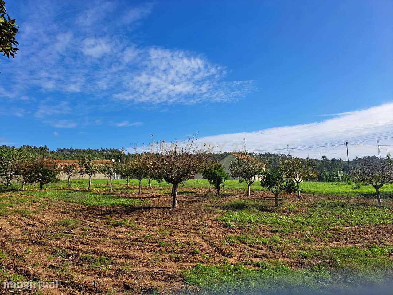 Terreno  plano com duas frentes para construção - Grande imagem: 4/12