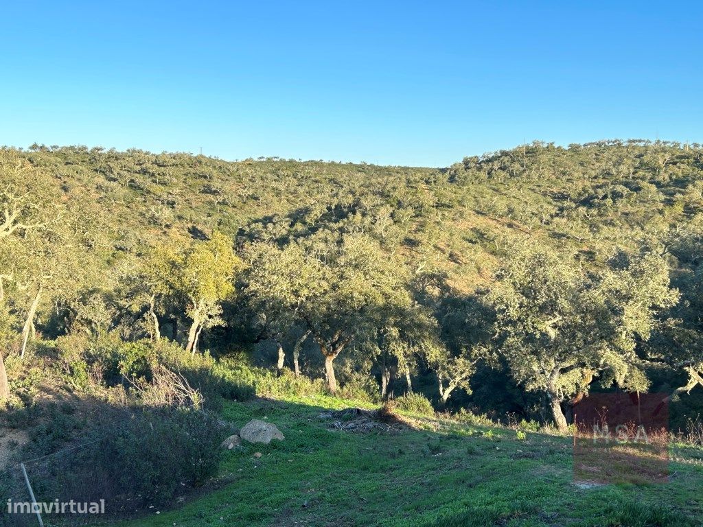 Herdade com 500ha em Almodôvar