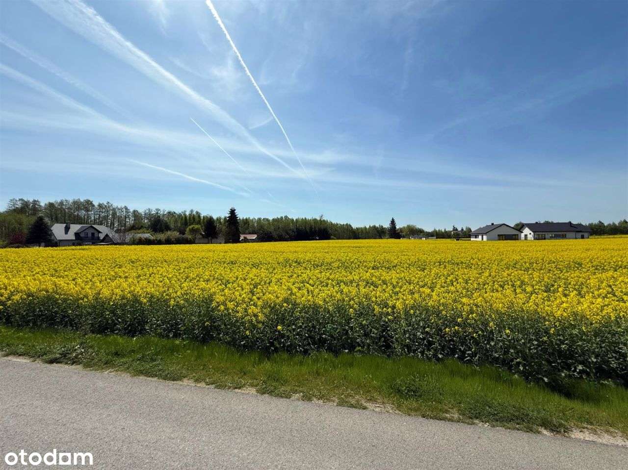 Idealny grunt Pod Inwestycje ! Okazja - Pełny obrazek: 4/6