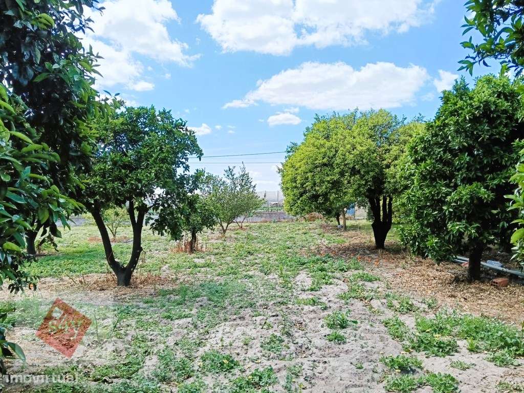 Quintinha com Moradia Térrea em Santo Isidro de Pegões!-16