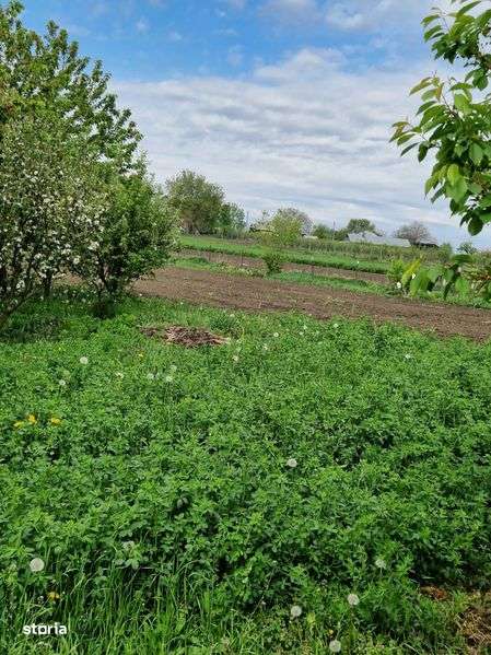 Casa cu terem cultivabil - Imagine principală: 5/8