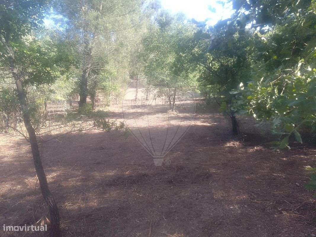 Terreno  para venda - Grande imagem: 3/5