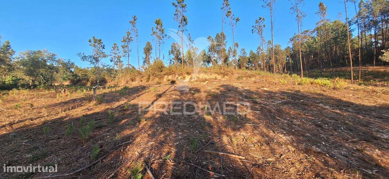 Terreno Rústico com 6.400 m² – Matas, Caranguejeira - Grande imagem: 4/39
