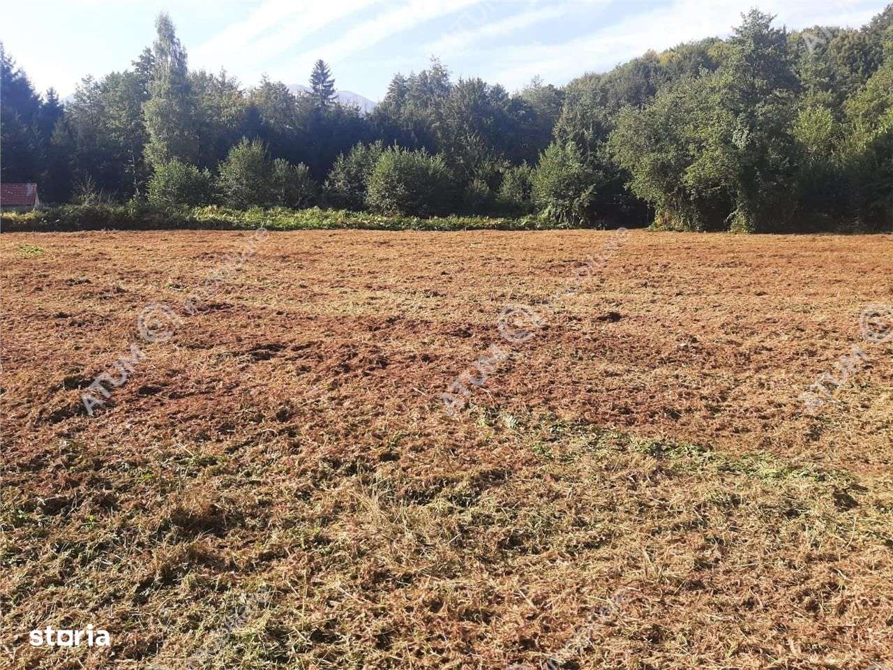 Teren intravilan de vanzare 1856 mp in Avrig zona Valea Avrigului - Imagine principală: 5/6