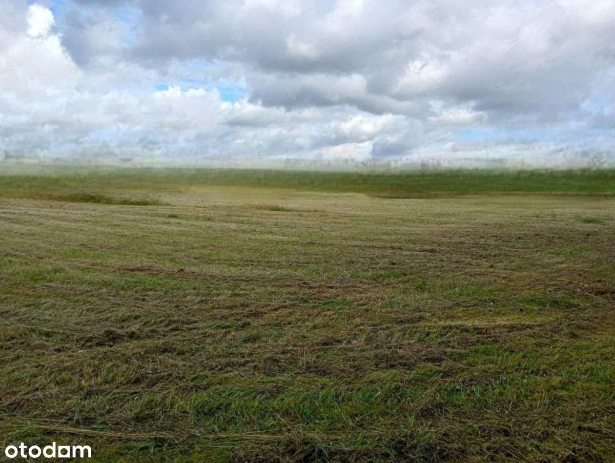 Działka z WZ Borsukówka gm. Dobrzyniewo Duże - Pełny obrazek: 4/5