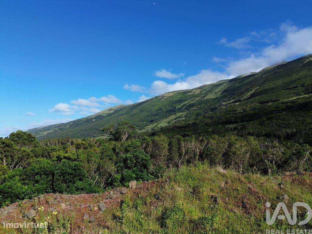 Terreno em Santo Amaro de 1492,00 m2 - Grande imagem: 5/6
