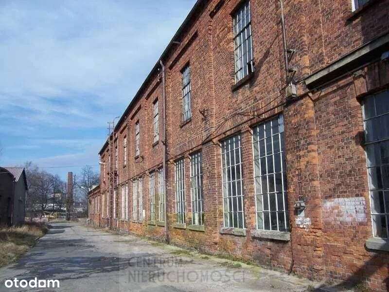 Hale, magazyny i powierzchnie produkcyjne 13000 m2-2