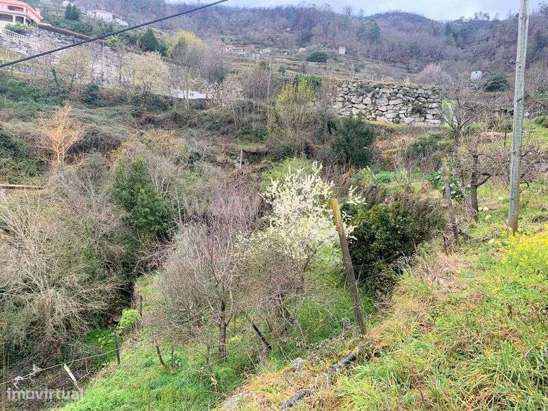 Terreno / Baião, Teixeira e Teixeiró - Grande imagem: 4/10