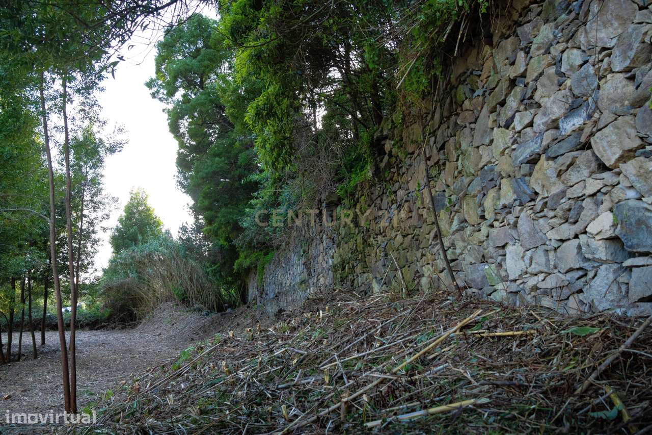 Exclusivo Lote (Nº2) com Vista Mar na Caloura — Uma Oportunidade Rara-13