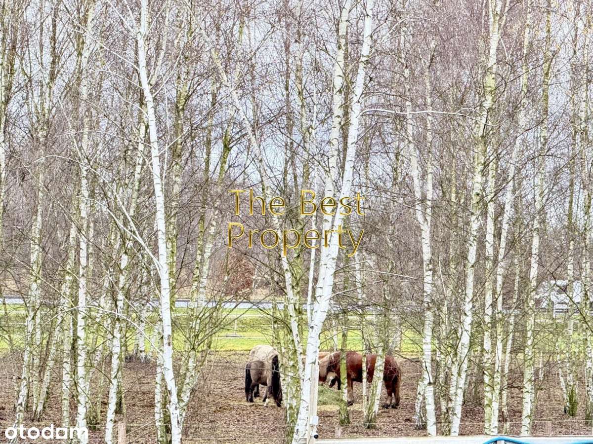 Nowe Lux 2 pok mieszkanie, Leśnica, Wrocław-14