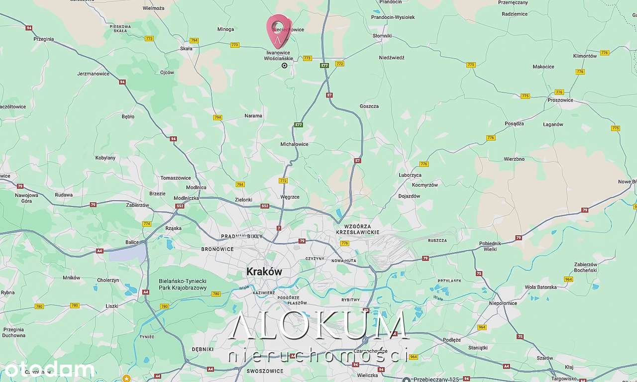 Duża działka rolno-budowlana 1,43 ha (67 ar budowlane)! Okazja cenowa! - Pełny obrazek: 5/7