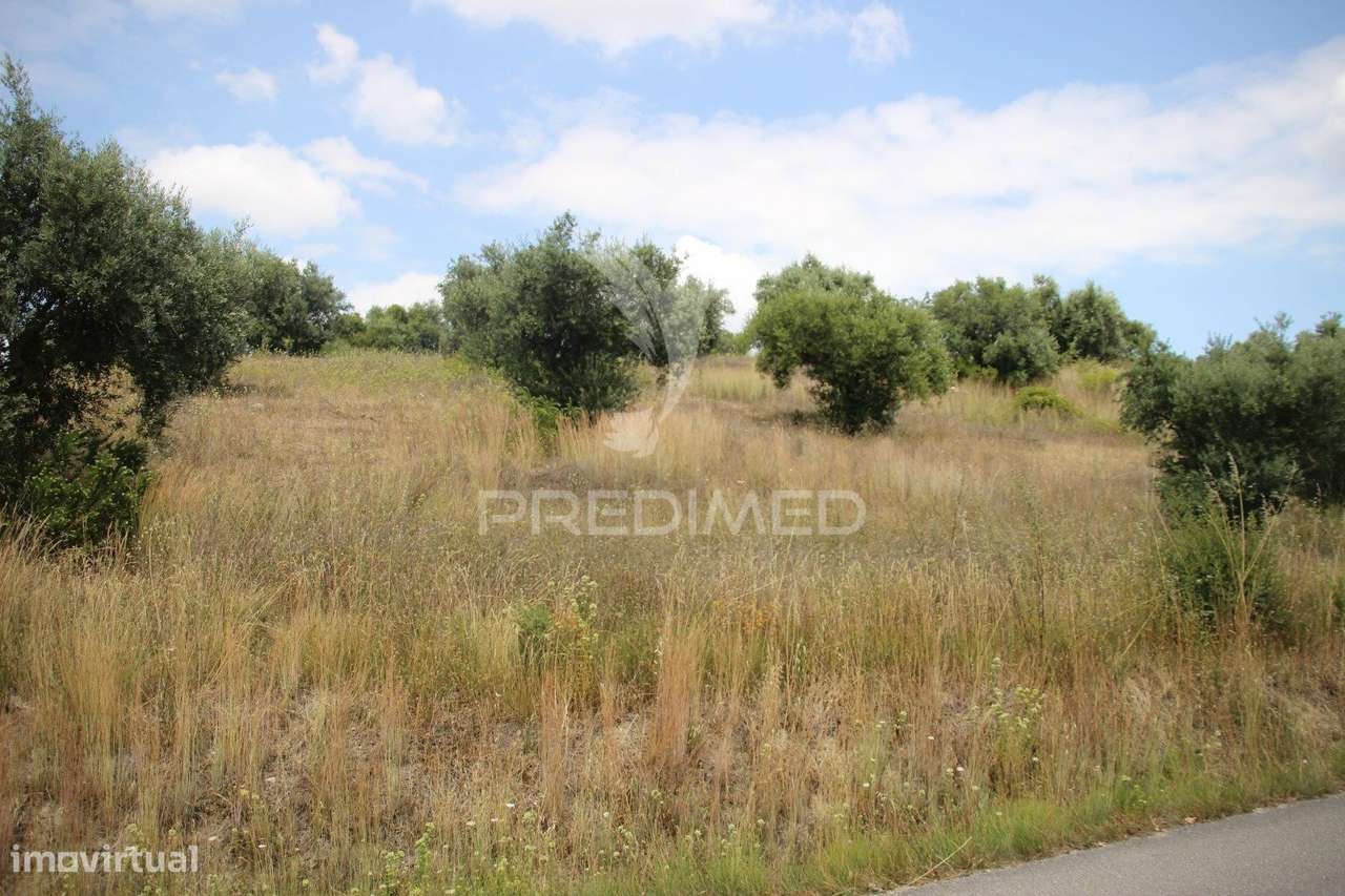 Terreno rustico  com 8.5 HA - Grande imagem: 5/17