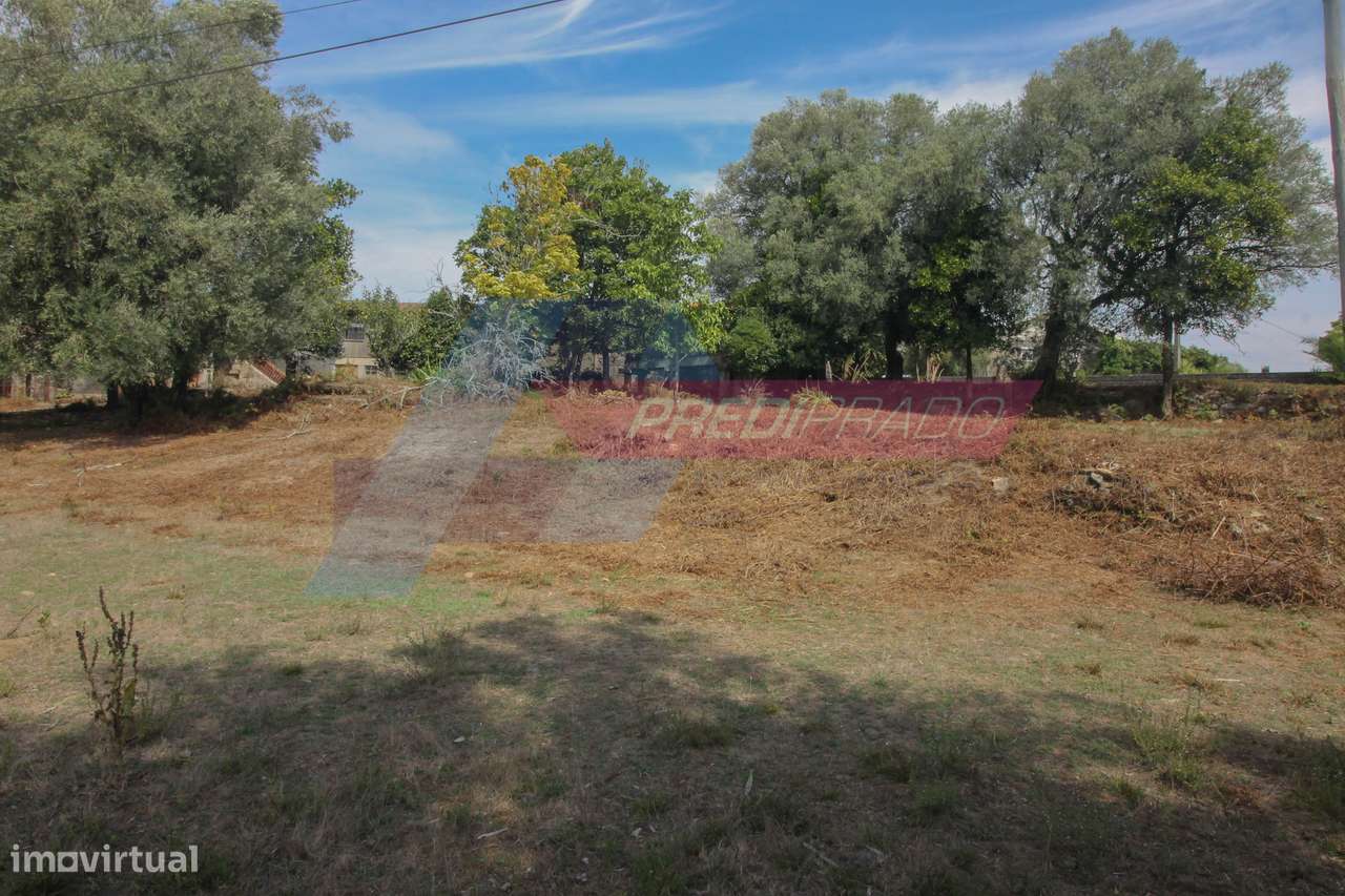 Fantástico Terreno para Construção em Cervães! - Grande imagem: 5/18