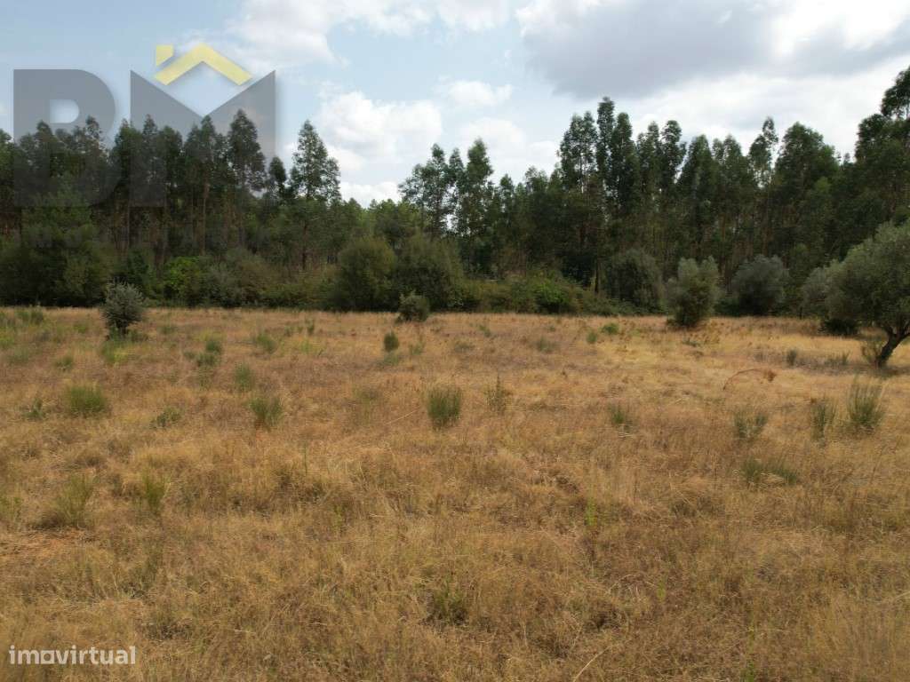 Quinta em Penamacor com 12.000m2 - Grande imagem: 3/5