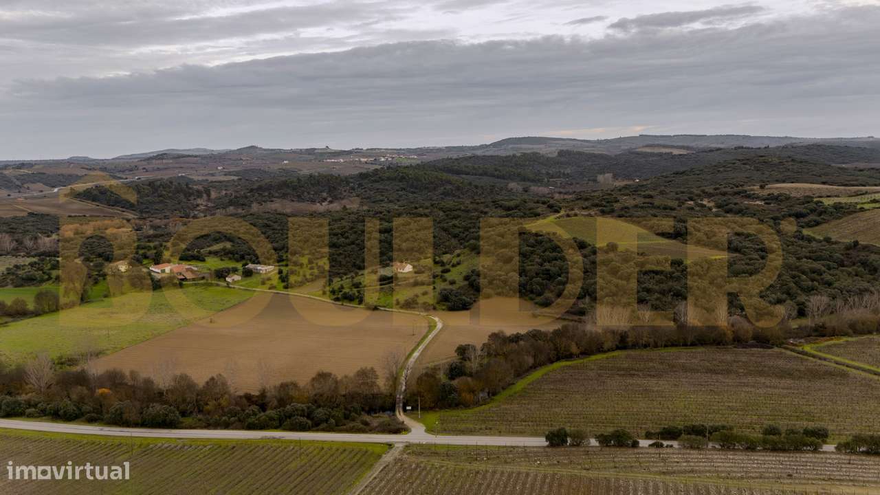 Quinta do Arieiro - Cedovim | Vila Nova de Foz Côa | Douro Superior-33