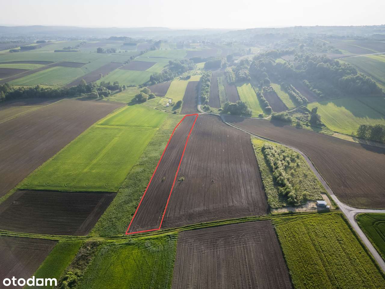 Rybna | Działka rolna | 54 ar | 0% PROWIZJI-5