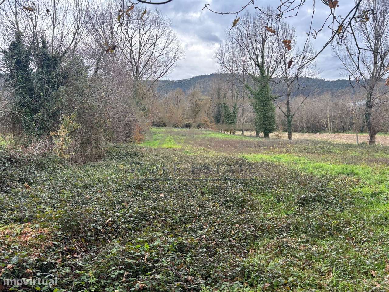 Terreno Rústico  Venda em Celeirós, Aveleda e Vimieiro,Braga - Grande imagem: 4/5