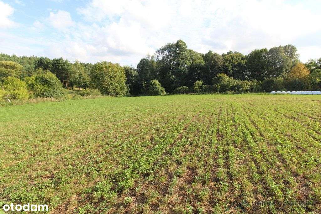 Działa przy jeziorze Łąkorz-6