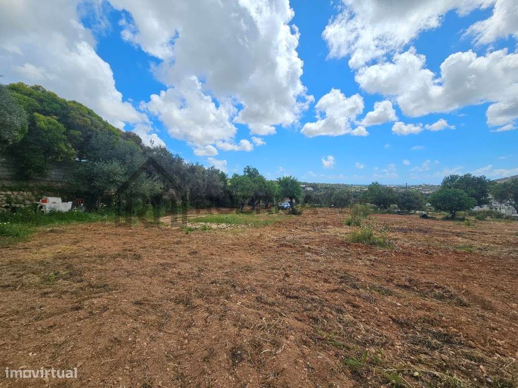 Terreno com casa antiga com 7300m2 a sul de Loulé - Grande imagem: 4/20