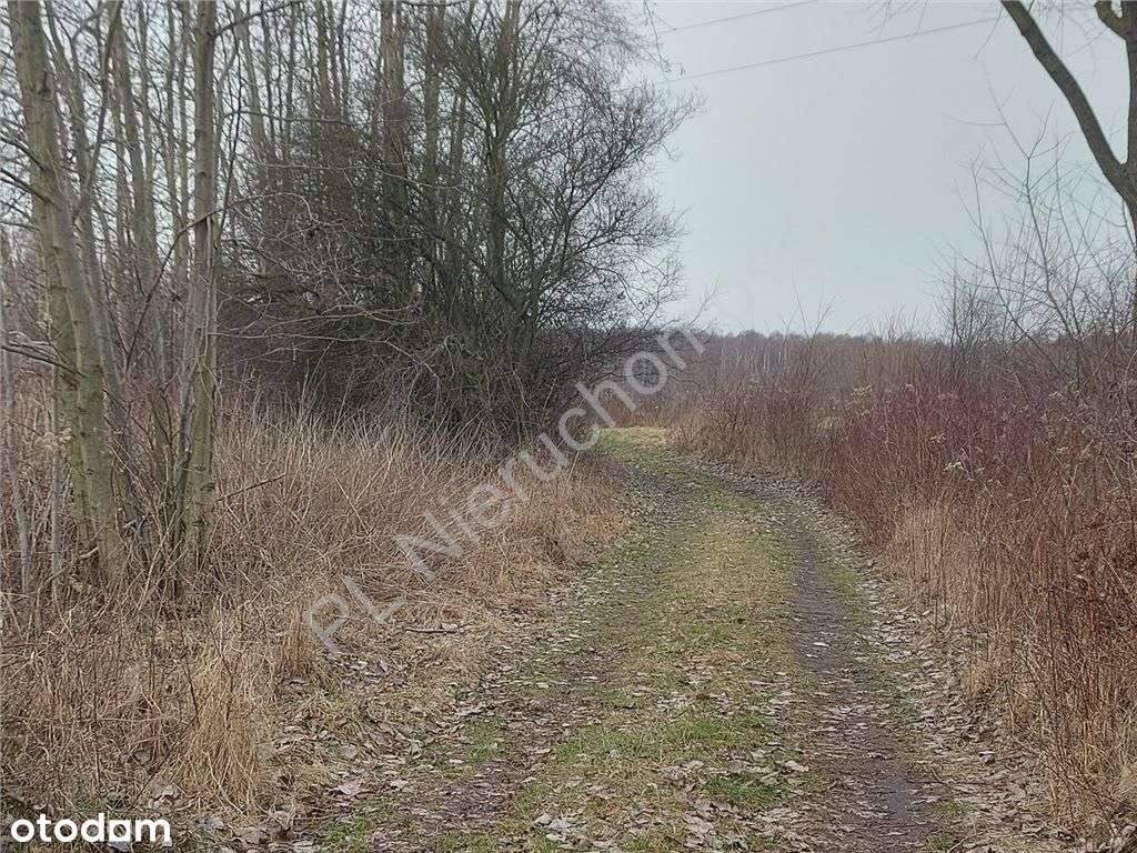 Pomysł Na Lokatę Kapitału - Działka Objęta Planem-0