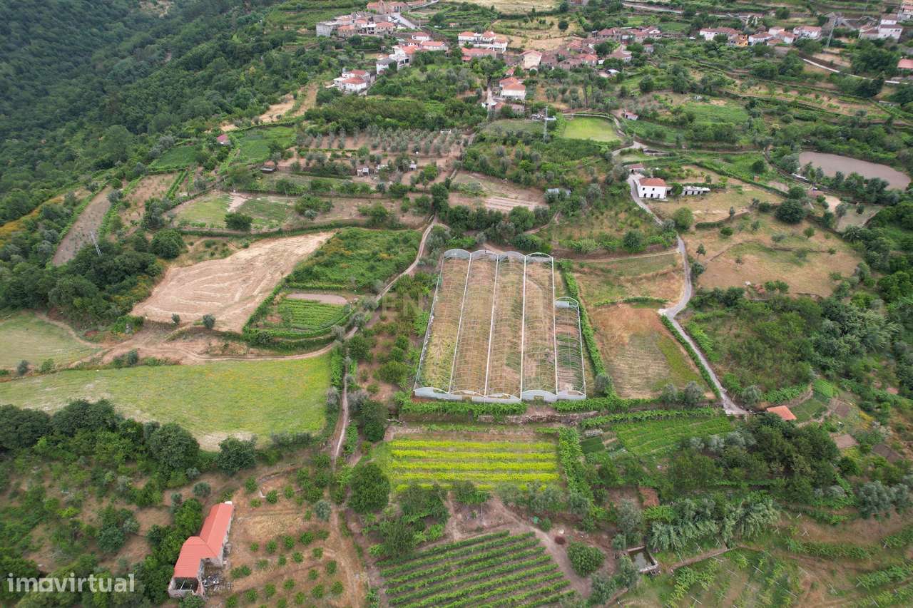 Quinta em Miomães, Resende | Um refúgio rural com cerca de 4 hectares-3
