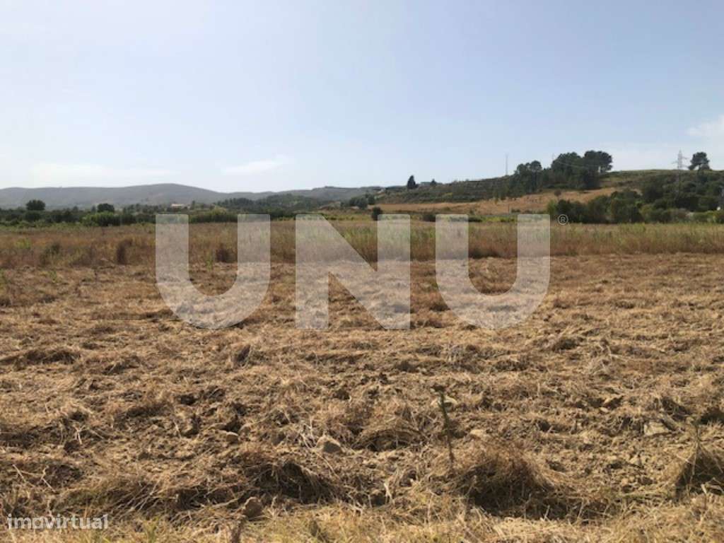 Terreno rústico com 1ha em Telhado, Fundão. - Grande imagem: 4/7