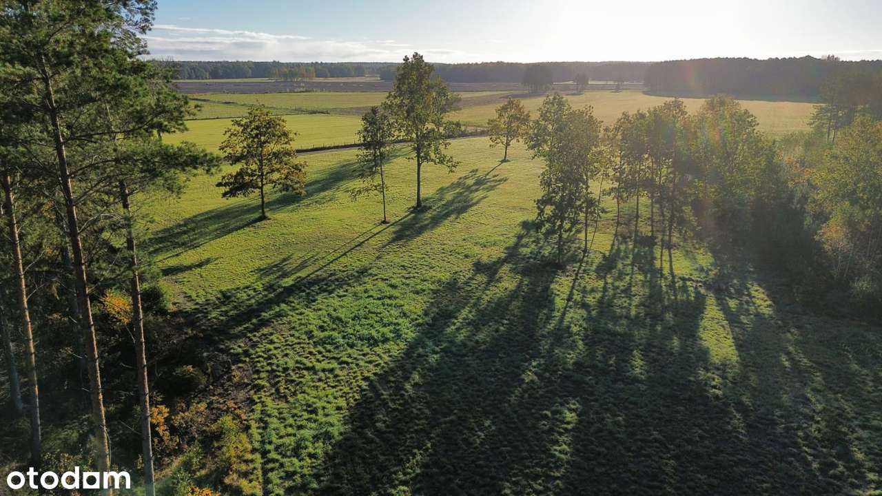 Suchorośl Stare – powrót do natury | 4,36 ha, gm. Świętajno - Pełny obrazek: 4/20