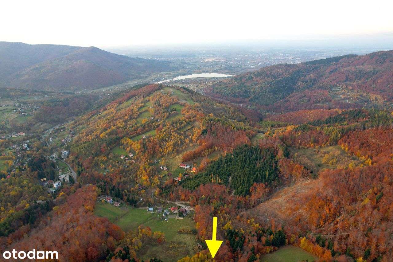 Porąbka 85ar z pozwol. na budynek roln/rekr Z DALA OD ZGIEŁKU ZAMIANA-6