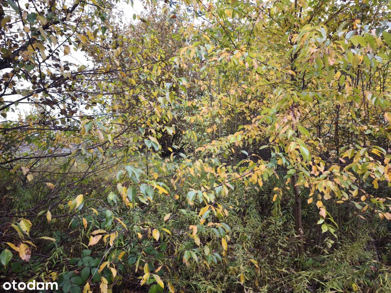 Domek na cele rekreacyjne.-7