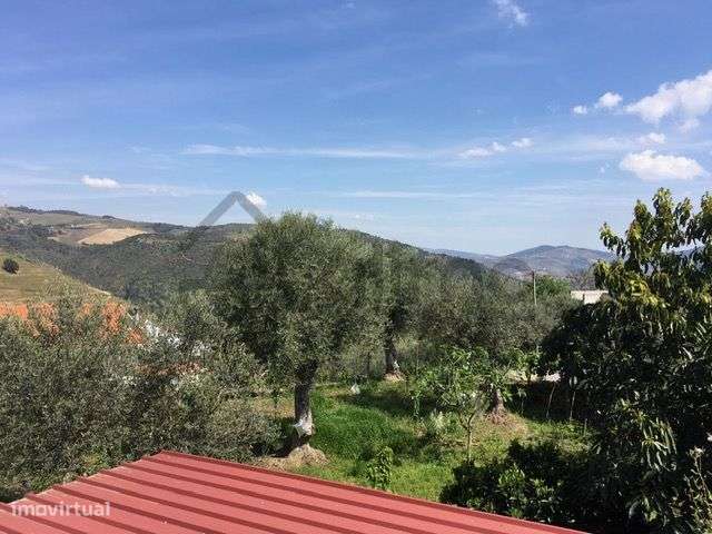 Casa com Terreno em Vilarinho de Cotas, Douro-21