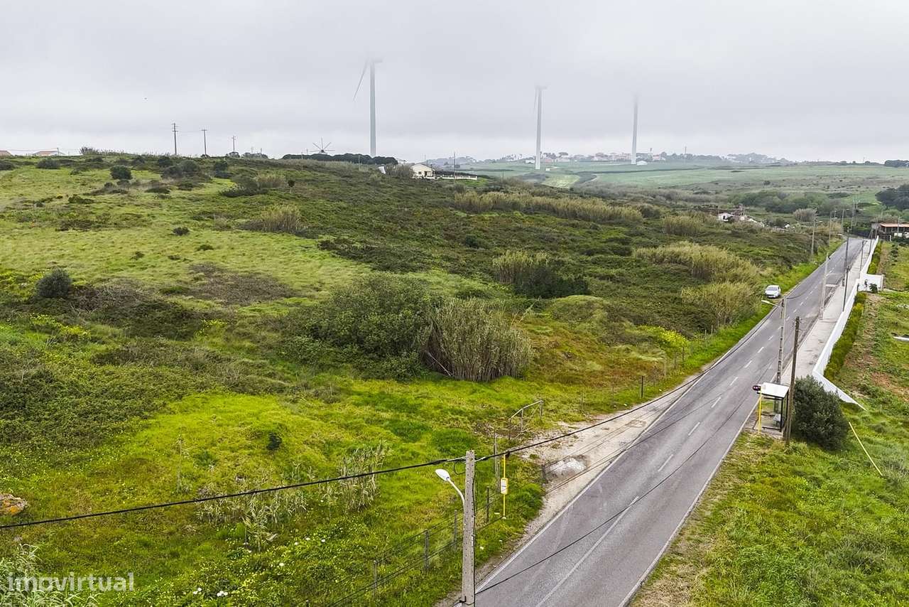 Terreno Rústico 2.7 ha, Santo Isidoro, Mafra - Grande imagem: 2/10