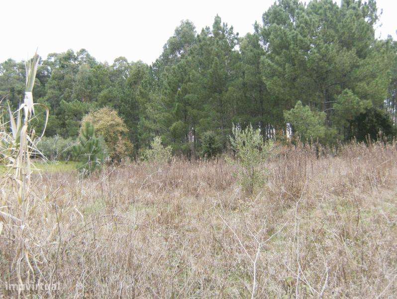 Terreno construção para venda, ourém - gondemaria - Grande imagem: 5/5