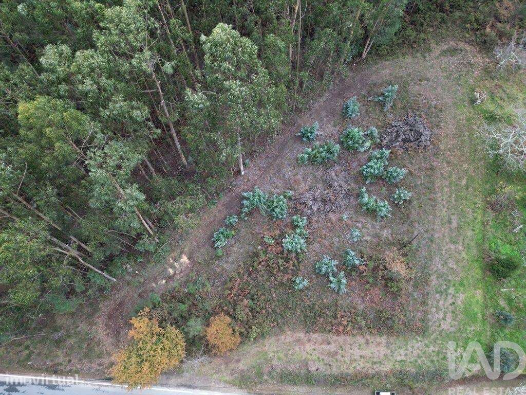 Terreno para construção em Cornes - Grande imagem: 2/4