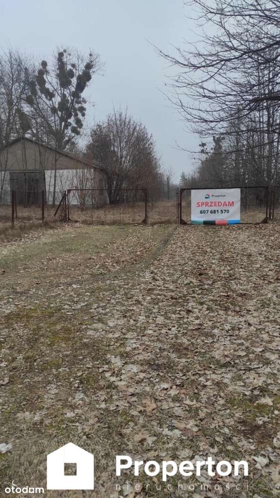 Działka komercyjna  Zaborze, blisko Kazimierza - Pełny obrazek: 4/5