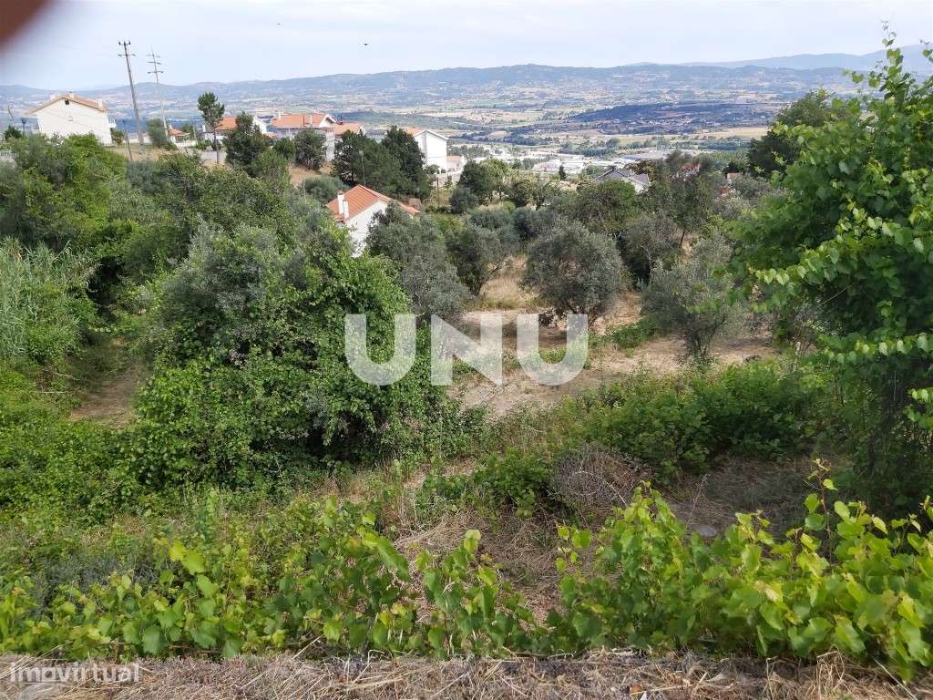 Terreno urbanizável na freguesia de Cantar-Galo e Vila do Carvalho,... - Grande imagem: 2/6