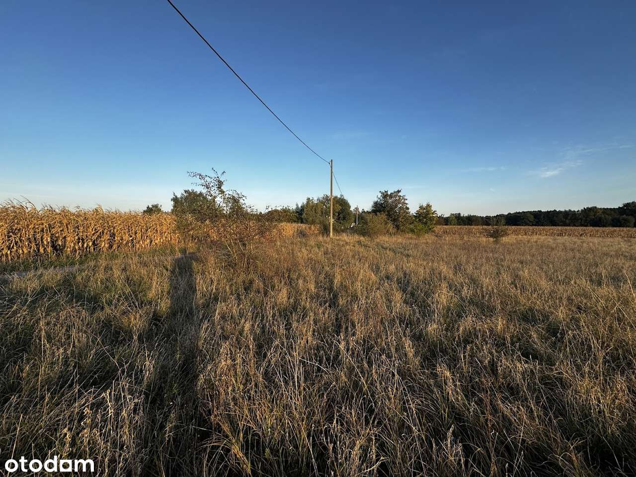 Lednogóra/blisko Stacji PKP/usługowo/budowlana-5