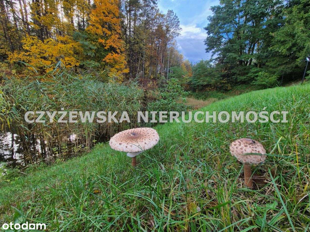 Dom Na Pięknej Działce Przy Lesie Młyńsk 5 Iwiczno-4