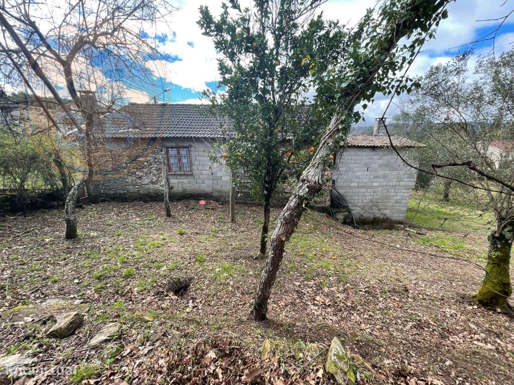 Moradia T4 em Chacim, Cabeceiras de Basto-39