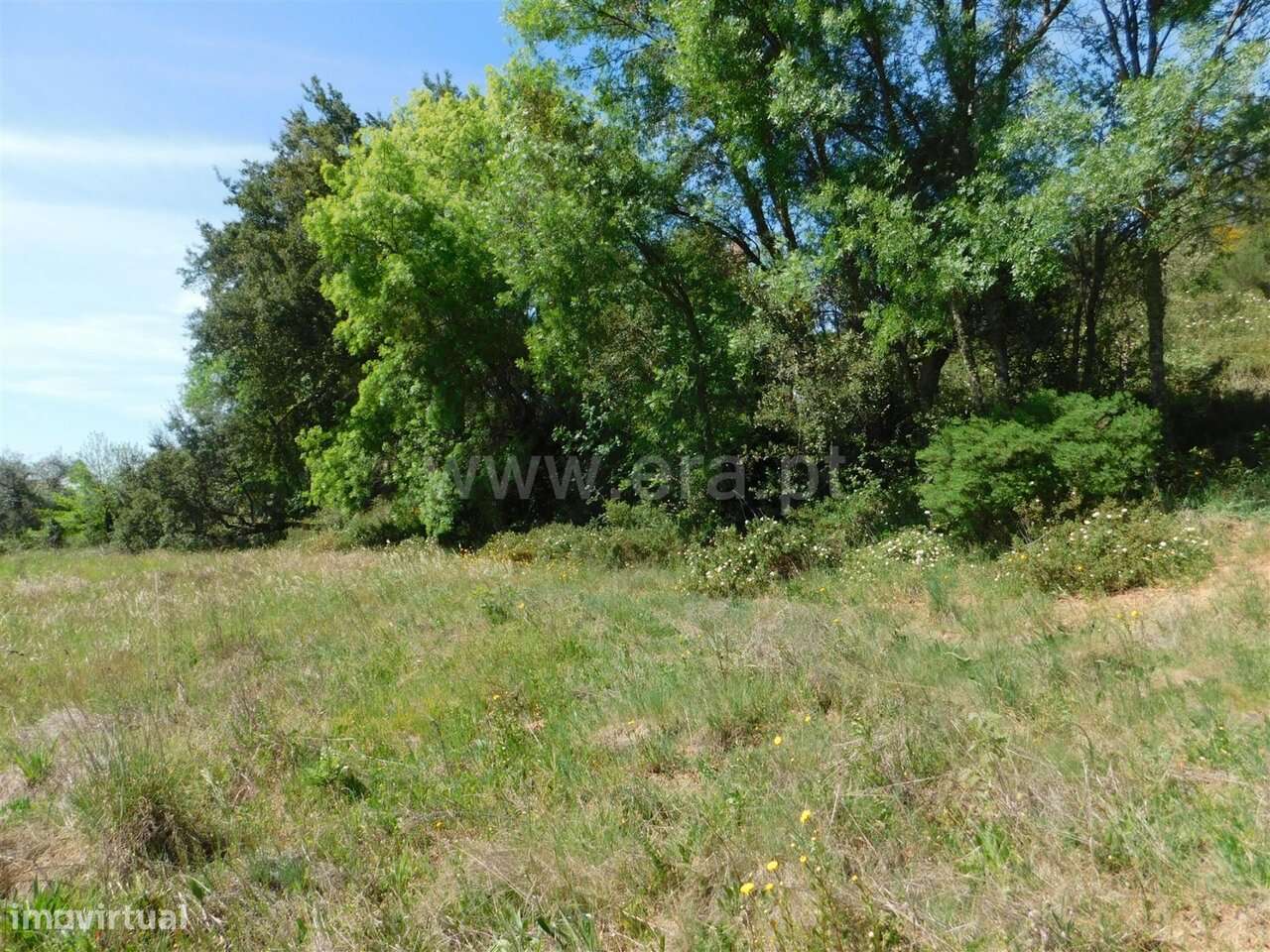 Terreno Rústico / Fundão, Fatela-18