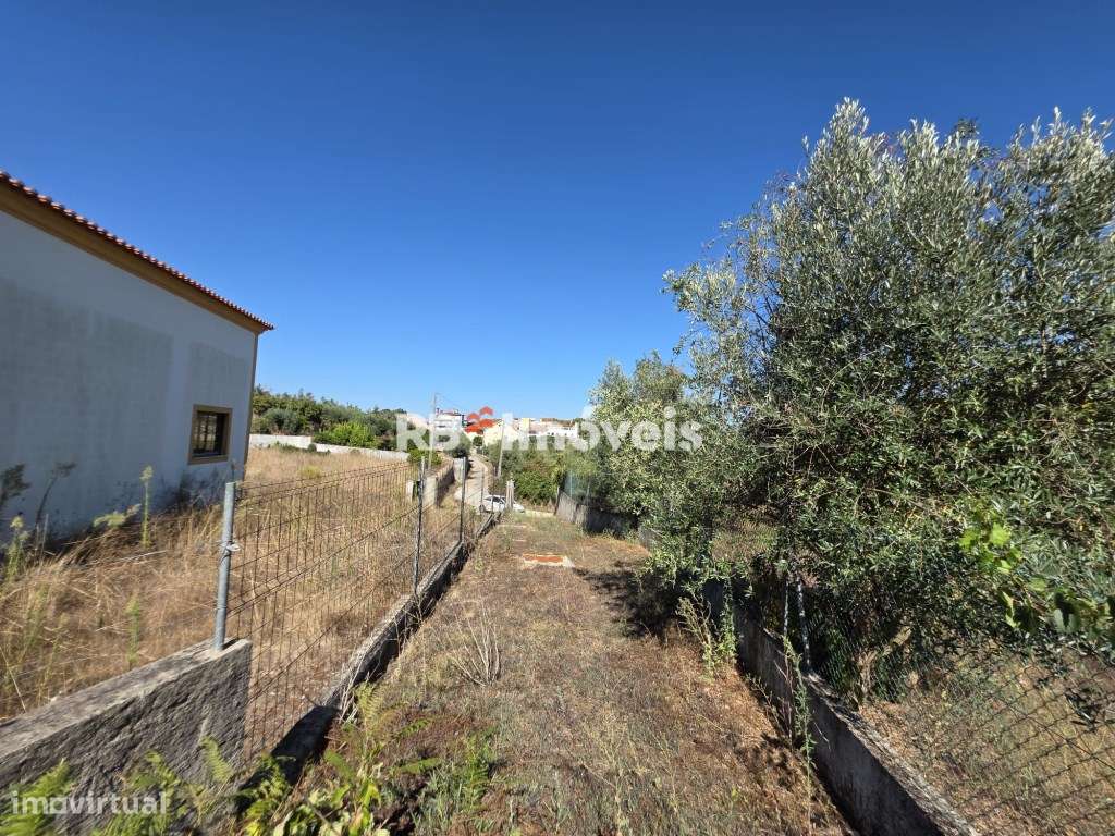 Terreno rústico com vinha - Abadia, Serra - Grande imagem: 4/11
