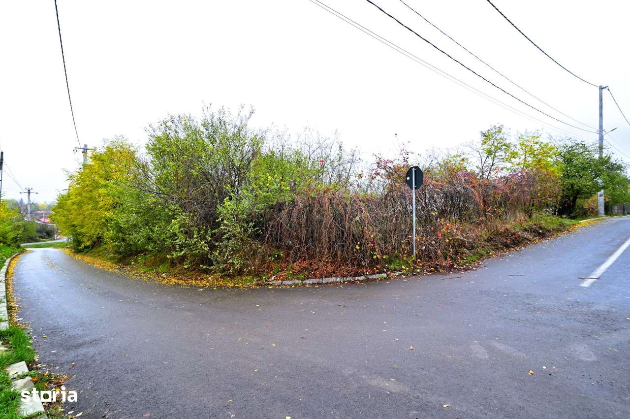 Vanzare teren de COLT 682mp Balta Lilieci Sat Lilieci Sinesti Ialomita-8