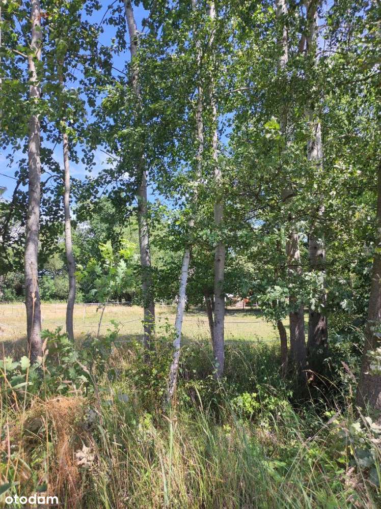 Działki Grędzina, Twoja inwestycja kapitału - Pełny obrazek: 4/5