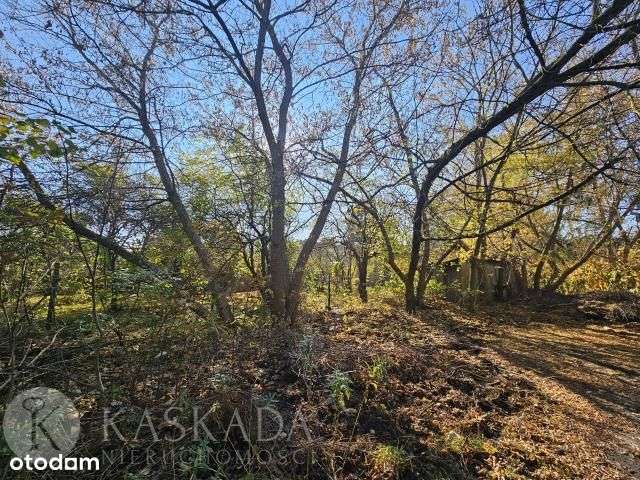 Działka budowlana z Mpzp Wawer 2419m2 Polecam!!!-2