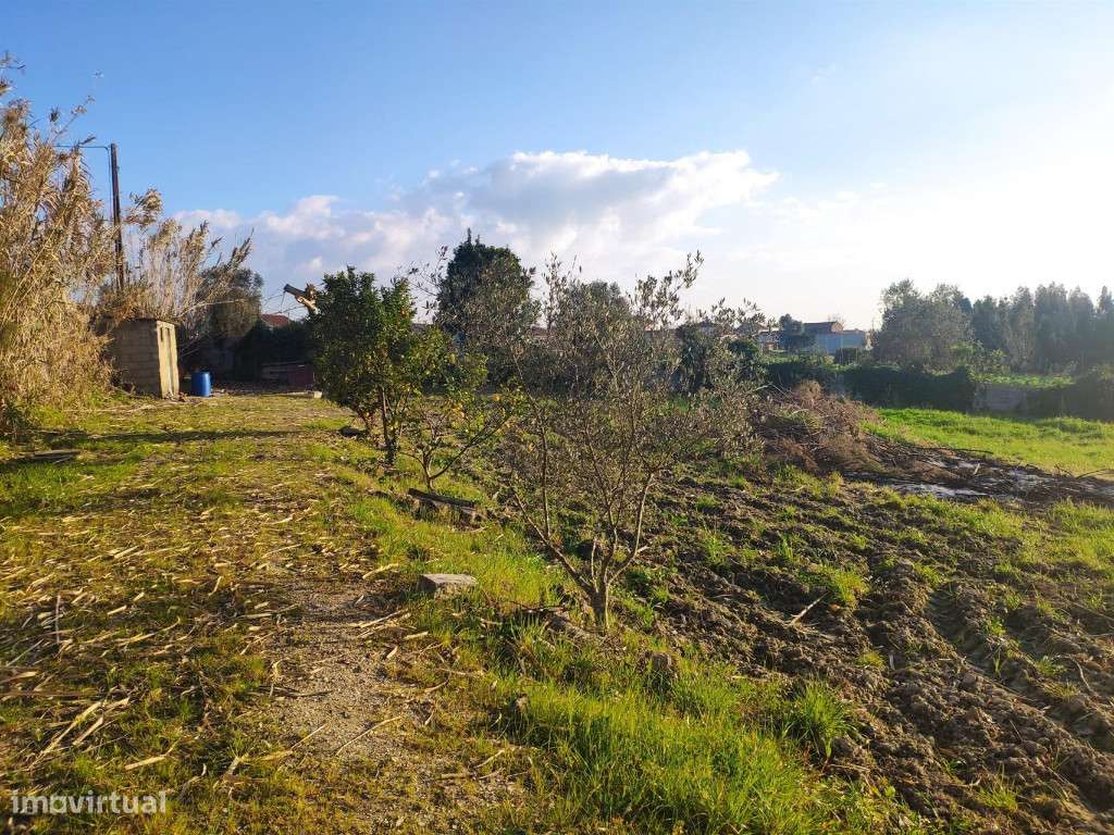 Terreno para construção, São Martinho da Árvore - Grande imagem: 4/10