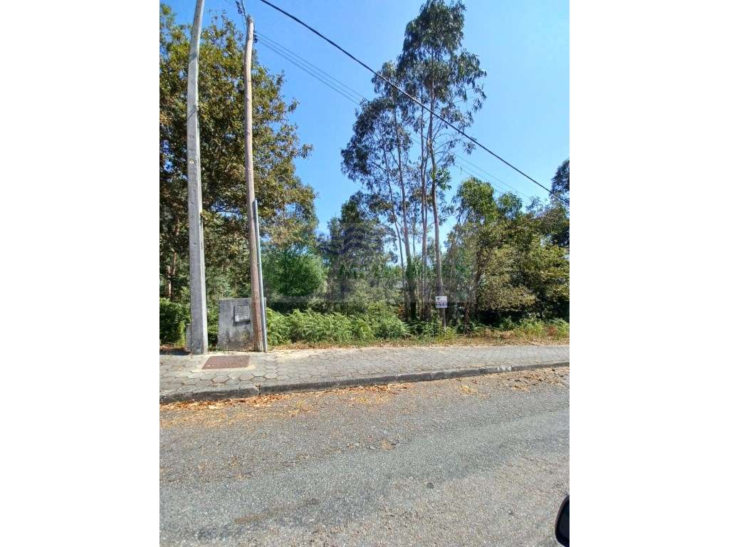 LOTE DE TERRENO JUNTO AO CENTRO DA VILA COM VIABILIDADE DE CONSTRUÇÃO - Grande imagem: 5/6